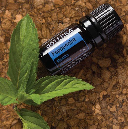 שמן אתרי מנטה Doterra אריזת 5 מל