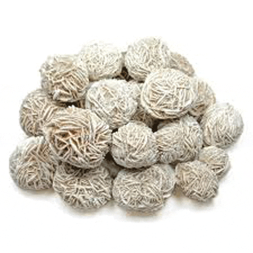 DESERT ROSE