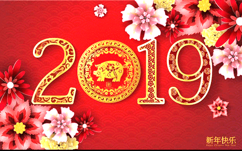 שנת חזיר בר ביסוד אדמה 2019