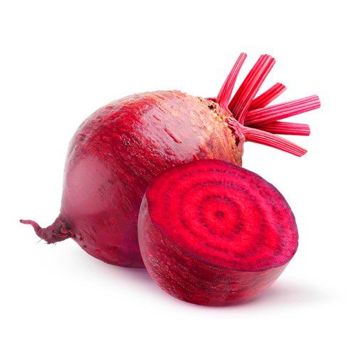 סלק