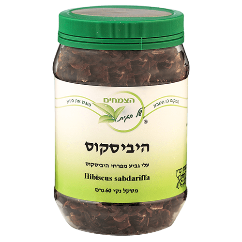 היביסקוס