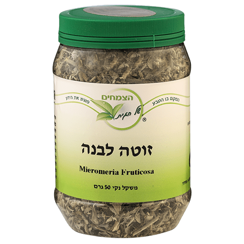 זוטה לבנה