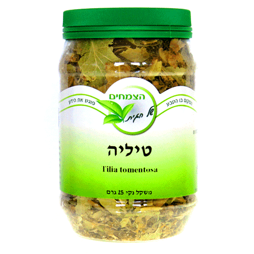 טיליה