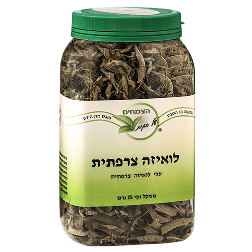 לואיזה