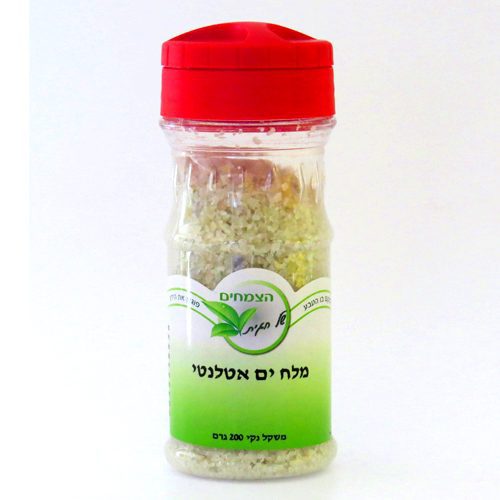 מלח ים אטלנטי