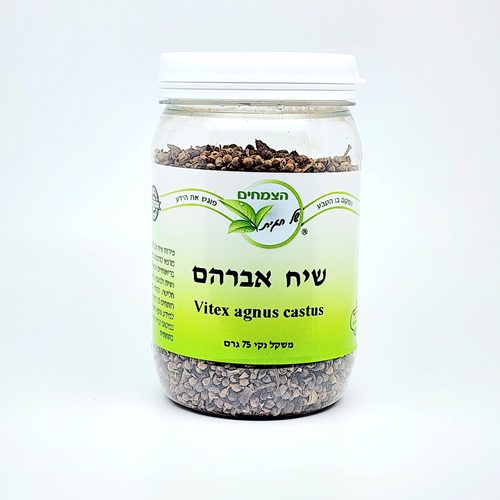 שיח אברהם