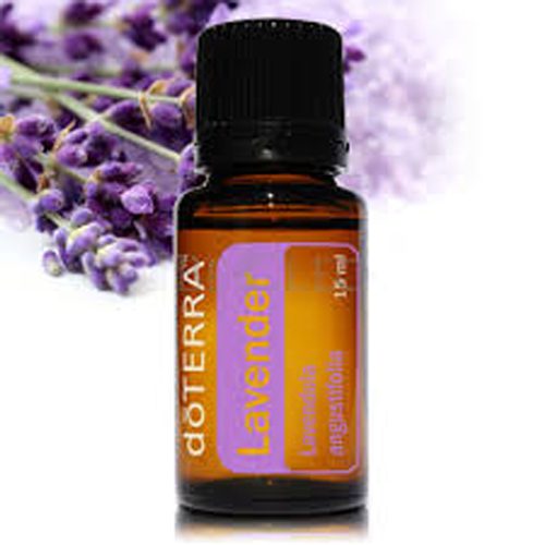 שמן אתרי לבנדר Doterra